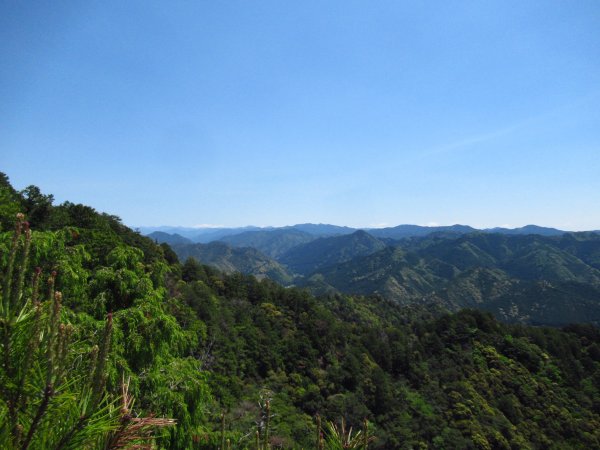鷹打場